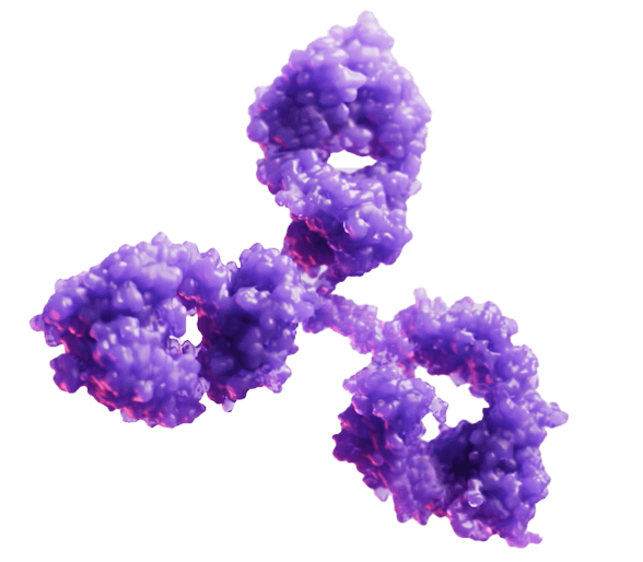 Infographic showing how LEQEMBI clears amyloid plaque and protofibrils to slow Alzheimer’s disease progression.